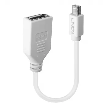 Lindy 0,20 m Mini DisplayPort–DisplayPort adaptera kabelis, 0,15 m, Mini DisplayPort, DisplayPort, vīrišķais, sievišķais, balts