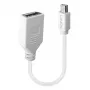 Lindy 0,20 m Mini DisplayPort–DisplayPort adaptera kabelis, 0,15 m, Mini DisplayPort, DisplayPort, vīrišķais, sievišķais, balts