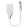 Lindy 0,20 m Mini DisplayPort–DisplayPort adaptera kabelis, 0,15 m, Mini DisplayPort, DisplayPort, vīrišķais, sievišķais, balts