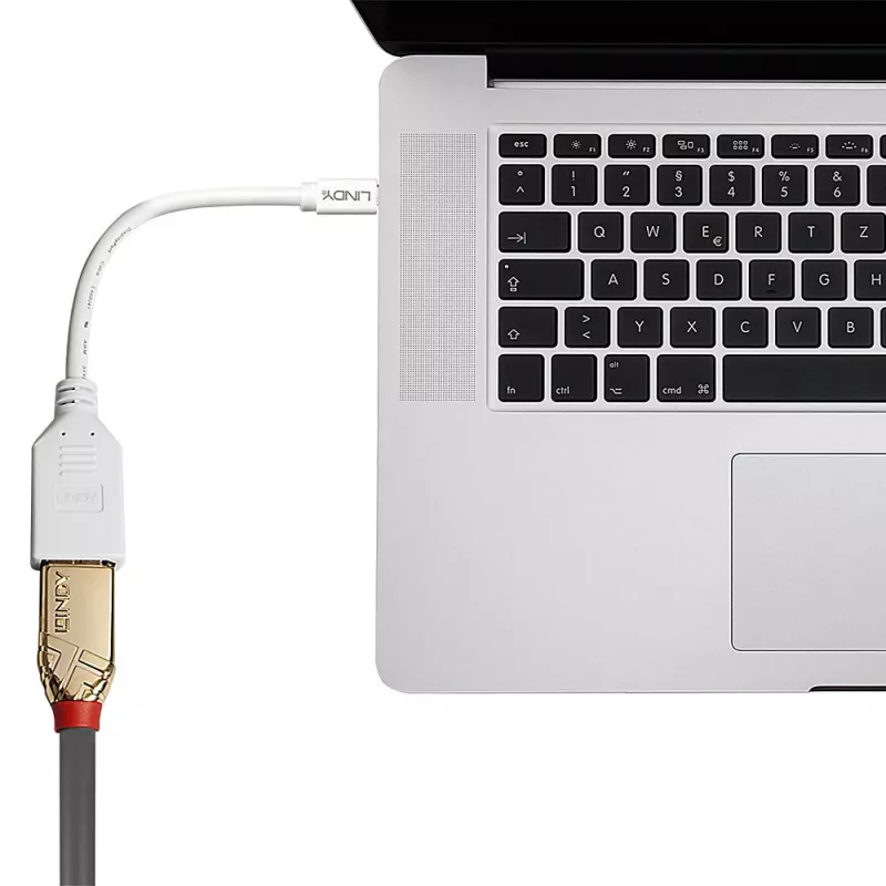 Lindy 0,20 m Mini DisplayPort–DisplayPort adaptera kabelis, 0,15 m, Mini DisplayPort, DisplayPort, vīrišķais, sievišķais, balts