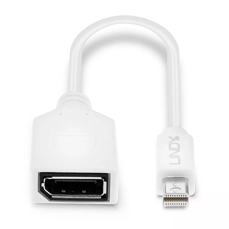Lindy 0,20 m Mini DisplayPort–DisplayPort adaptera kabelis, 0,15 m, Mini DisplayPort, DisplayPort, vīrišķais, sievišķais, balts