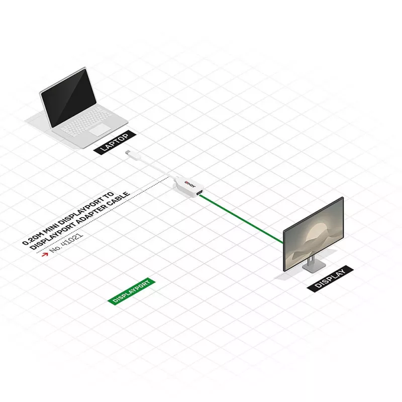 Lindy 0,20 m Mini DisplayPort–DisplayPort adaptera kabelis, 0,15 m, Mini DisplayPort, DisplayPort, vīrišķais, sievišķais, balts
