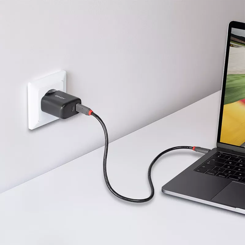 Lindy 65W USB 2 x Type C GaN lādētājs 73438