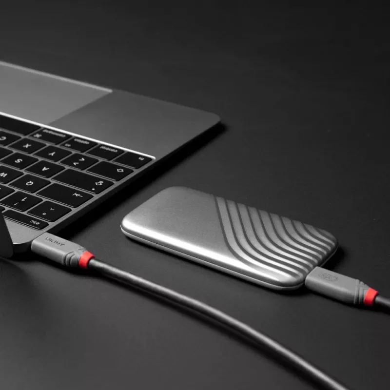 Lindy 1.5m USB 4 240W Type C kabelis, Anthra Line