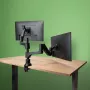 R-Go Tools Monitora statīvs R-Go Caparo Dual, diviem monitoriem, regulējams ar gāzes atsperi, 3-9 kg kravnesība, 100% apļveida, melns