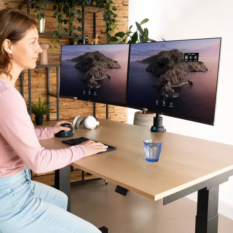 R-Go Tools Monitora statīvs R-Go Caparo Dual, diviem monitoriem, regulējams ar gāzes atsperi, 3-9 kg kravnesība, 100% apļveida, melns