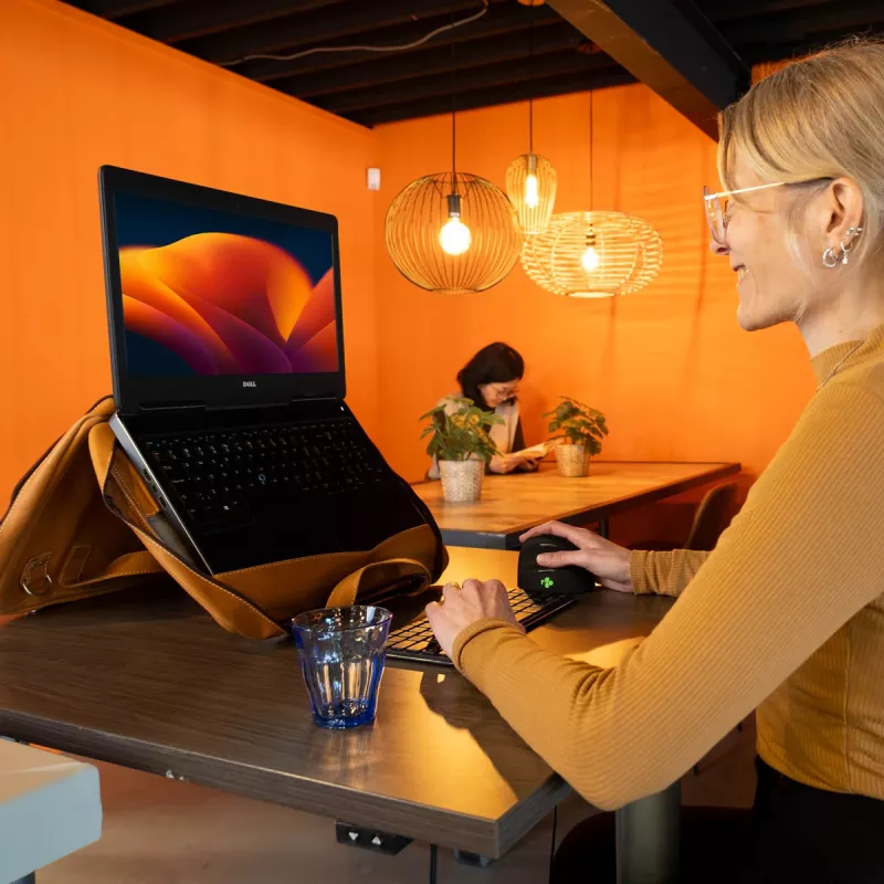 R-Go Tools Portatīvā datora soma R-Go Viva, pilngraudaina āda, ar integrētu klēpjdatora statīvu, plecu siksnu, 15,6 collas, brūna