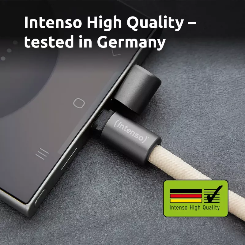 USB Kabelis Intenso Handykette 1.65m USB-C Bēšs