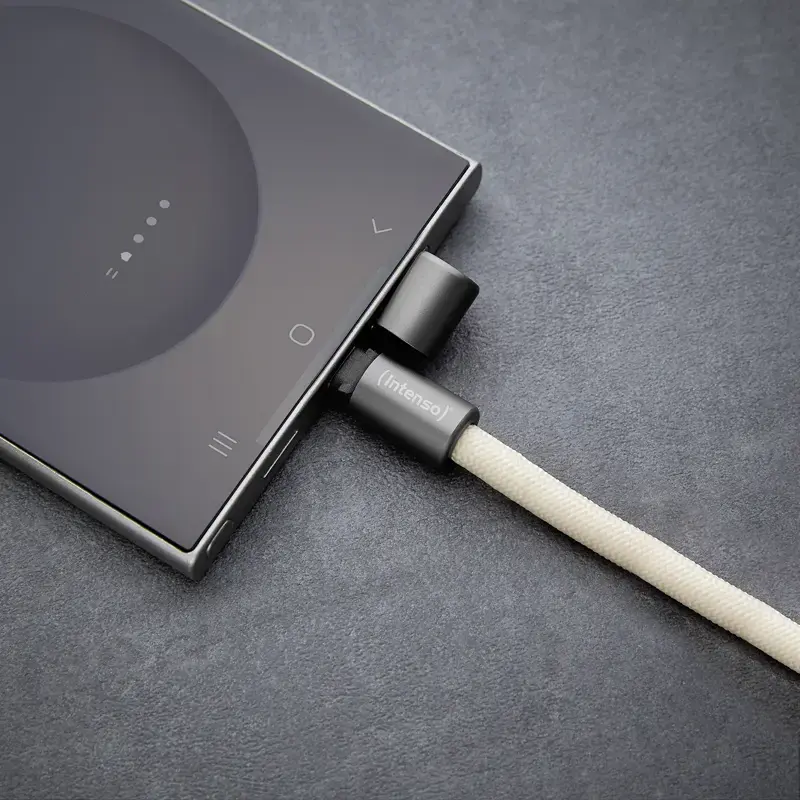 USB Kabelis Intenso Handykette 1.65m USB-C Bēšs