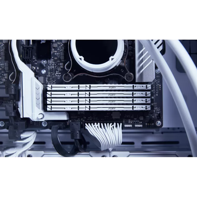 Kingston Technology FURY Beast 32GB 6000MT/s DDR5 CL36 DIMM balta EXPO