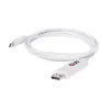 CLUB3D USB 3.1 Type C kabelis uz DisplayPort 1.2 UHD adapteris
