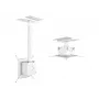 Multibrackets M Projector Mount Pro HD 40kg balts, griestu stiprinājums, 40 kg, balts, 150 - 1000 mm, 360°, -5 - 5°