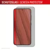 Displex Privātuma ekrāna aizsargs (10H) Samsung Galaxy S24/S25, Eco montāžas rāmis, privātuma filtrs