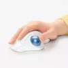 Pele Logitech ERGO M575 bezvadu trackball RF Wireless + Bluetooth