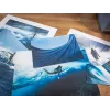 Canon imagePROGRAF PRO-1100 foto printeris Inkjet 2400 x 1200 DPI Wi-Fi
