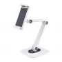 StarTech.com regulējams planšetdatora statīvs galdam – piestiprināms pie sienas – kravnesība 1 kg – ergonomisks, šarnīrsavienojumu universāls planšetdatora statīvs – planšetdatora turētājs galdam ar pagriešanas/grozīšanas/rotācijas funkciju