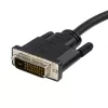 StarTech.com 10 pēdas (3 m) DisplayPort–DVI kabelis – DisplayPort–DVI adaptera kabelis 1080p video – DisplayPort–DVI-D kabelis vienkanāla – DP–DVI monitora kabelis – DP 1.2–DVI pārveidotājs