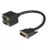 StarTech.com 30cm (1 ft) DVI-D uz 2x DVI-D digitālais video sadalītāja kabelis - V/S~1 ft DVI-D uz 2x DVI-D digitālais video sadalītāja kabelis - V/S