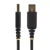 StarTech.com 10 pēdu (3 m) USB–seriālais adaptera kabelis, COM saglabāšana, maināmas skrūves/uzgriežņi, USB-A uz DB9 RS232, FTDI IC, ESD aizsardzība, Windows/macOS/Linux