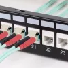 StarTech.com LC uz LC savienotājs, LC optiskās šķiedras savienotājs, LC/UPC Keystone ligzda, dupleksais optiskās šķiedras LC Keystone savienotājs plākstera panelim