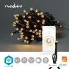 Dekoratīva gaismas virtene Nedis WIFILX01W50 — 50 LED spuldzes, 1,81 W, USB, IP65, 5 m kabelis