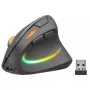 pele SPEEDLINK SL-630026-BK RF Wireless Optical