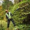Elektriskais dzīvžoga trimeris ar pagarinājumu DeWALT DCMPH566N-XJ