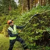 Elektriskais dzīvžoga trimeris ar pagarinājumu DeWALT DCMPH566N-XJ