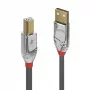 Lindy 2m USB 2.0 Type A to B kabelis, Cromo Line