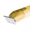 Bārdas trimmeris Adler AD 2836G Baterija 0.9 6 mm Zelts