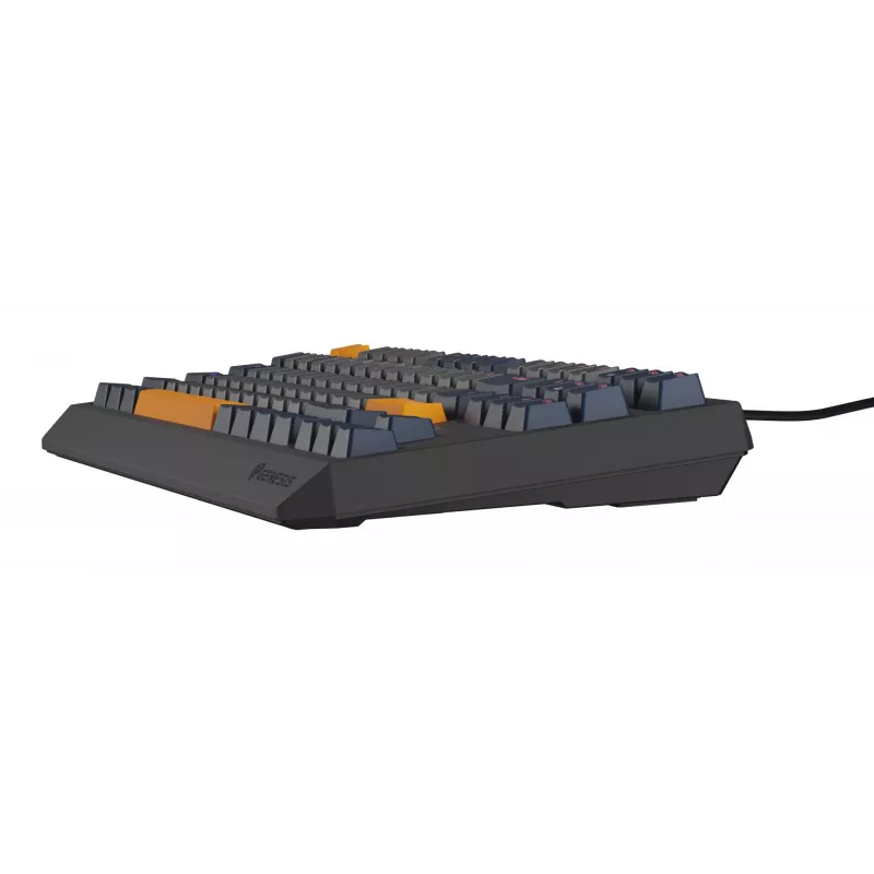 GENESIS Thor 230 TKL tastatūra Gaming USB QWERTY angļu zila