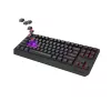 Mehāniskā spēļu tastatūra bez ciparu bloka GENESIS Thor 230 TKL — USB, RF bezvadu, Bluetooth, 87 taustiņu QWERTY, pelēka