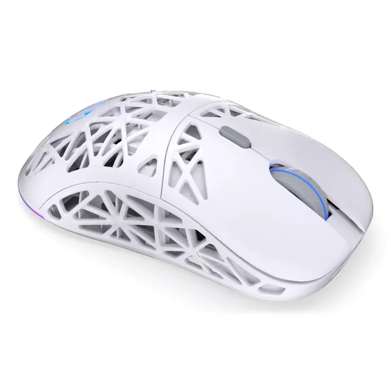 Bezvadu spēļu pele ENDORFY LIV Onyx balta — Bluetooth/2,4 GHz, 12000 DPI, piemērota abām rokām, aRGB apgaismojums, 6 pogas, USB-A/USB-C kabelis