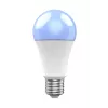 Viedā spuldze WOOX R9074