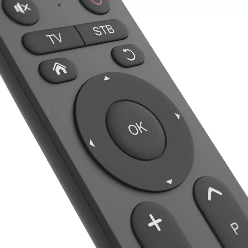 Tālvadības pults Hama 00221056 IR bezvadu TV 31 poga 10m diapazons