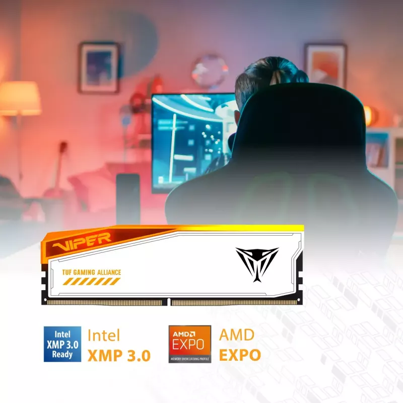 Patriot Viper Elite 5 RGB TUF Gaming Alliance DDR5 SDRAM 32GB kit 3000MHz CL36 On-die ECC DIMM 288-PIN