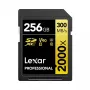 Atmiņas karte Lexar 256GB SDXC Class 10 LSD2000256G-BNNNG