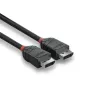 Lindy 1m DisplayPort 1.2 kabelis, Melns Line