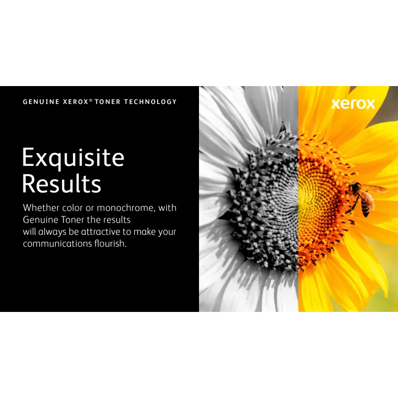 Xerox Genuine ® VersaLink® C8000W Color Printer balta Standard capacity tonera kasete (5000 lapas) - 106R04646
