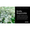 Xerox Genuine ® C320 Colour Printer/C325 Colour Multifunction Printer dzeltena High capacity tonera kasete (5500 lapas) - 006R04830