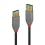 Lindy 1 m USB 3.2 Type A pagarinātāja kabelis, 5 Gbps, Anthra Line