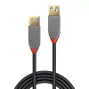 Lindy 1 m USB 3.2 Type A pagarinātāja kabelis, 5 Gbps, Anthra Line