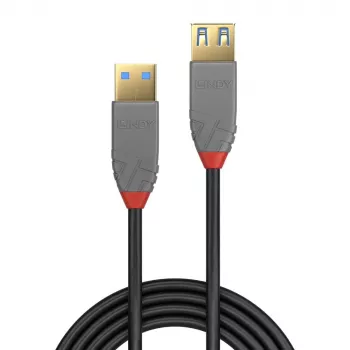 Lindy 1 m USB 3.2 Type A pagarinātāja kabelis, 5 Gbps, Anthra Line