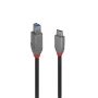 Lindy 3m USB 3.2 C tipa uz B kabelis, Anthra Line