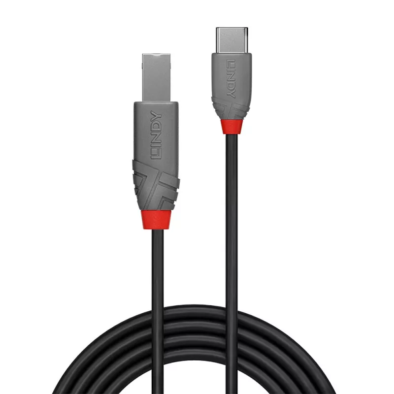 USB 2.0 Type C – B kabelis Lindy 36940 0,5 m Anthra Line