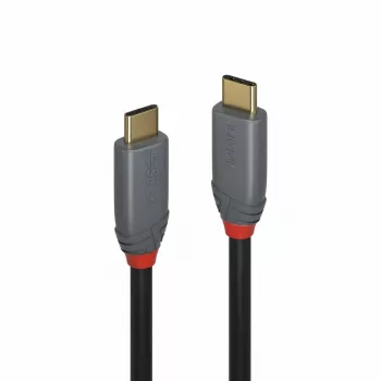 Lindy Anthra Line USB 3.2 Type C kabelis (2 m), 5A PD