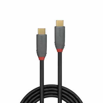Lindy Anthra Line USB 3.2 Type C kabelis (2 m), 5A PD