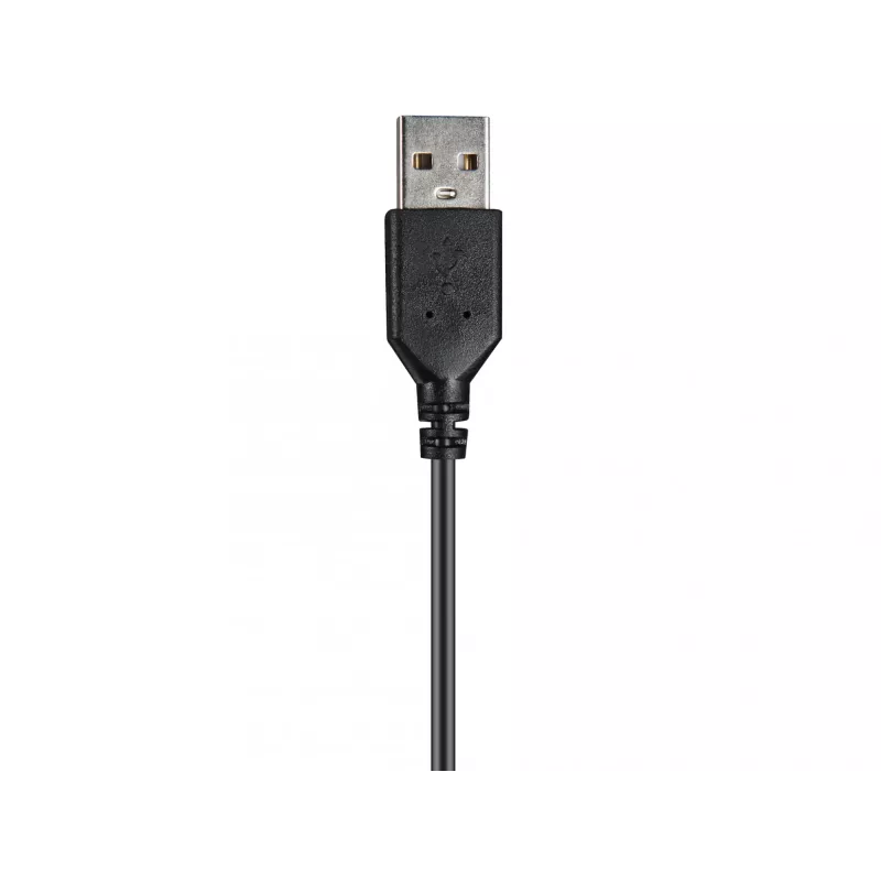 Austiņas Sandberg USB Chat Headset