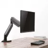 Monitora rokturis ROLINE 17.03.1116 Desk Melns