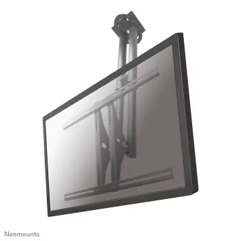 Neomounts PLASMA-C100 monitora/TV stiprinājums pie griestiem 37-75 collas - augstums 67-107 cm